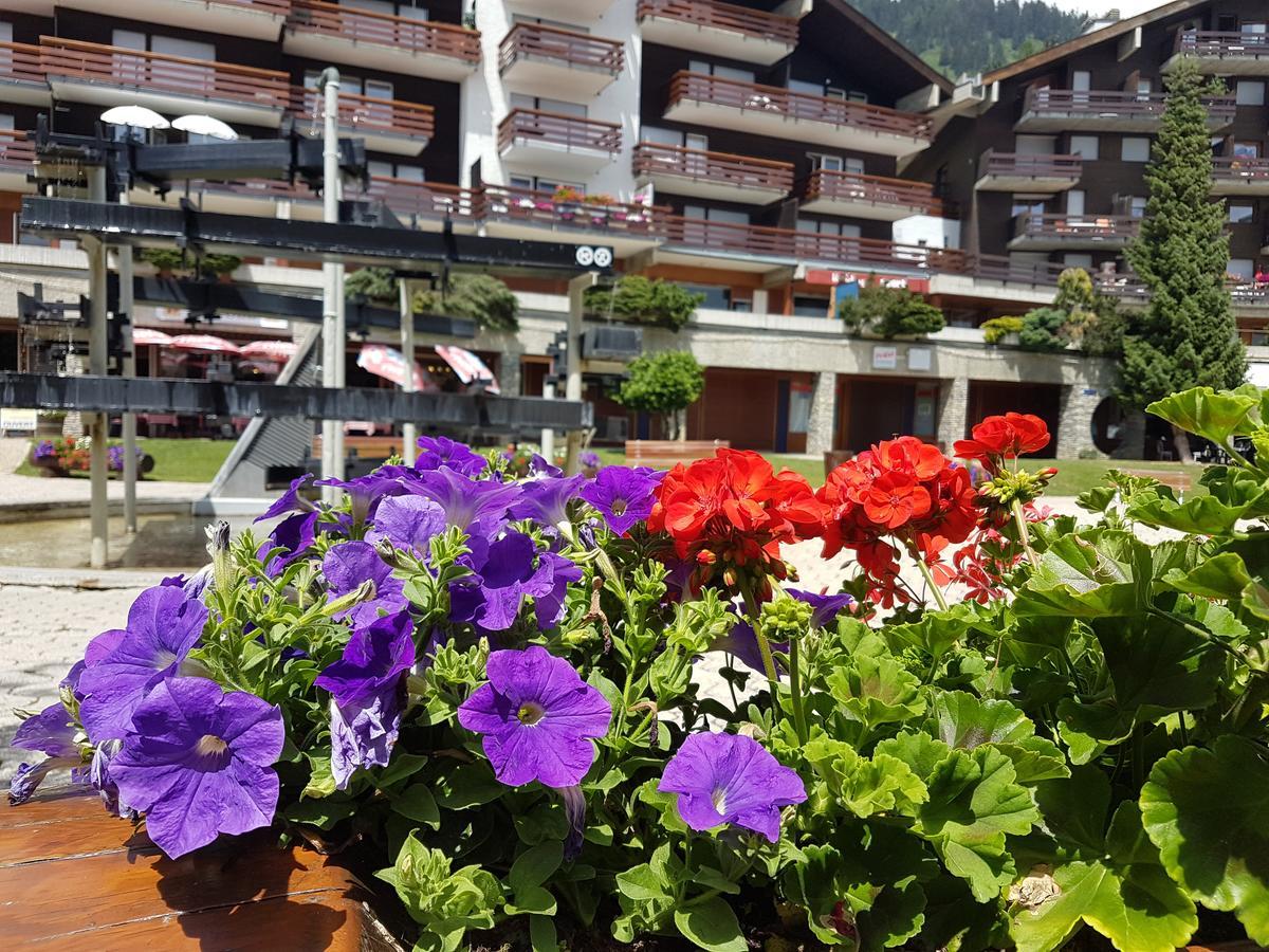 Holidays Groupes Anzere Exterior photo
