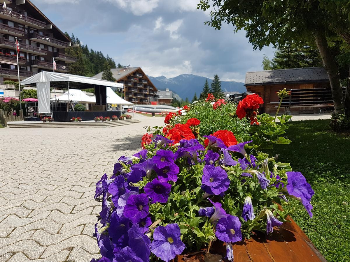 Holidays Groupes Anzere Exterior photo