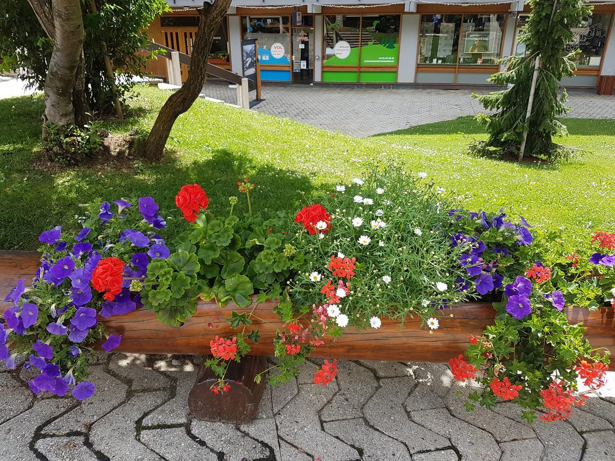 Holidays Groupes Anzere Exterior photo