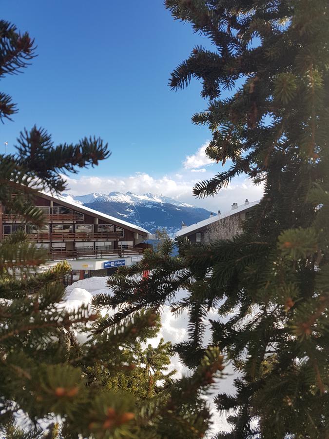 Holidays Groupes Anzere Exterior photo